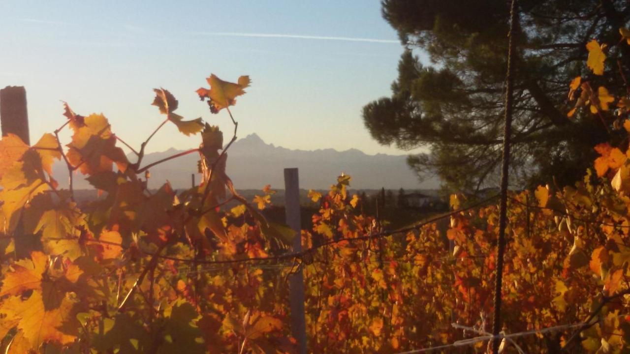 Cascina Torello Dogliani Kültér fotó