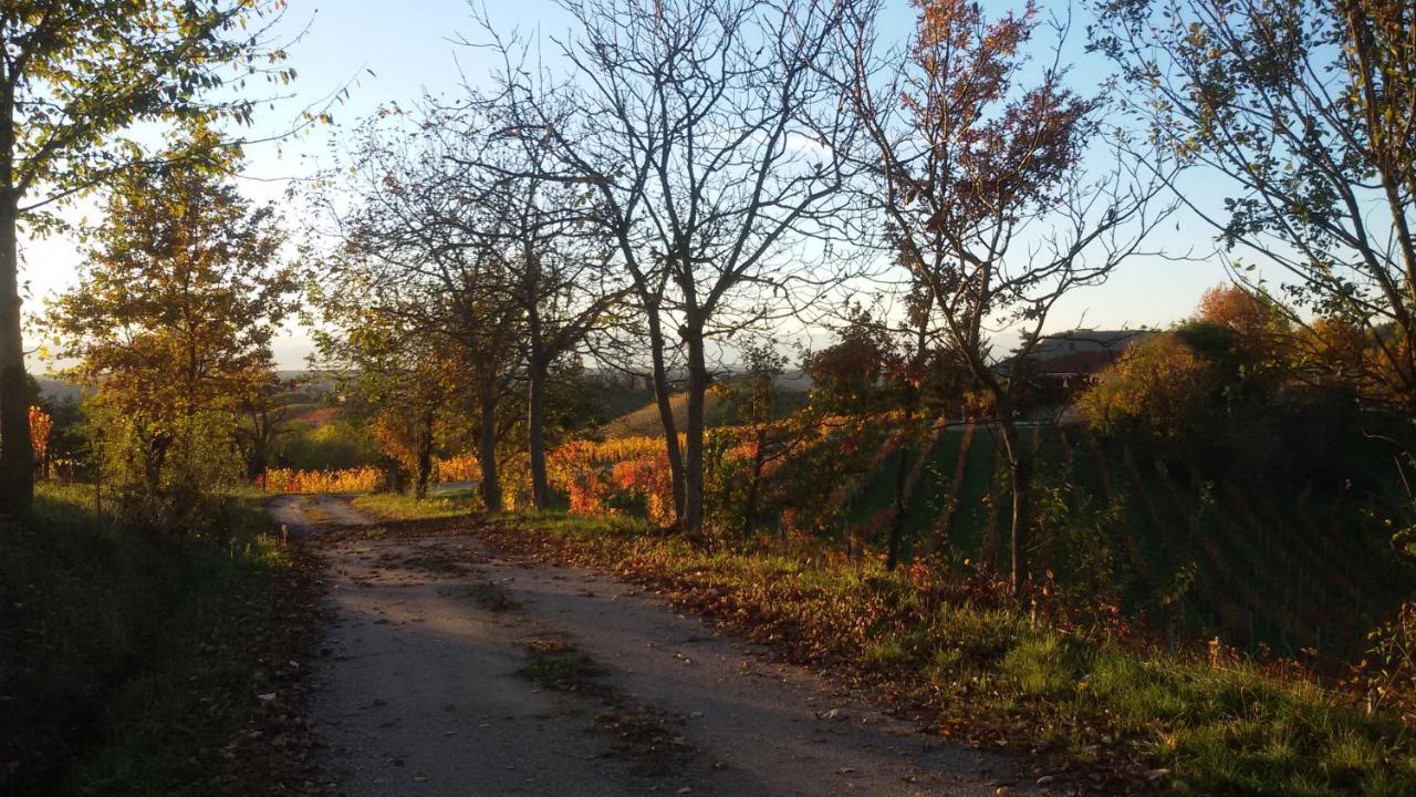 Cascina Torello Dogliani Kültér fotó