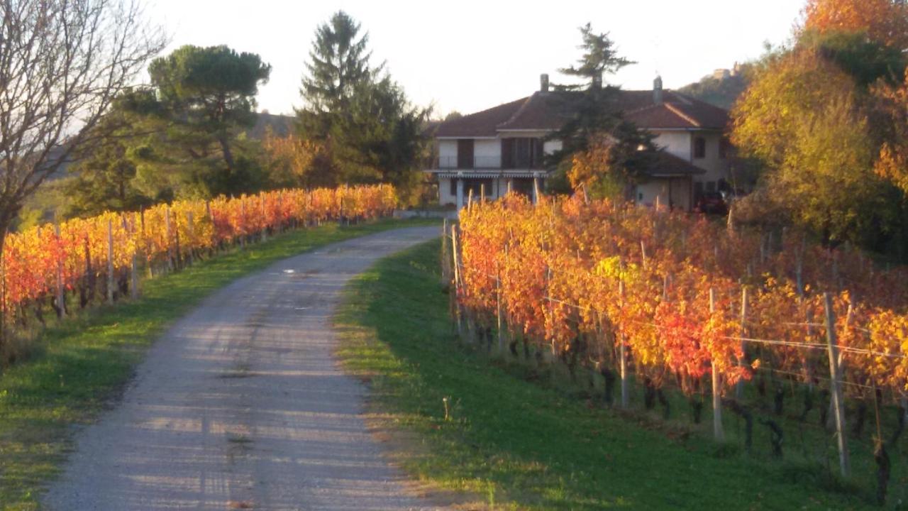 Cascina Torello Dogliani Kültér fotó