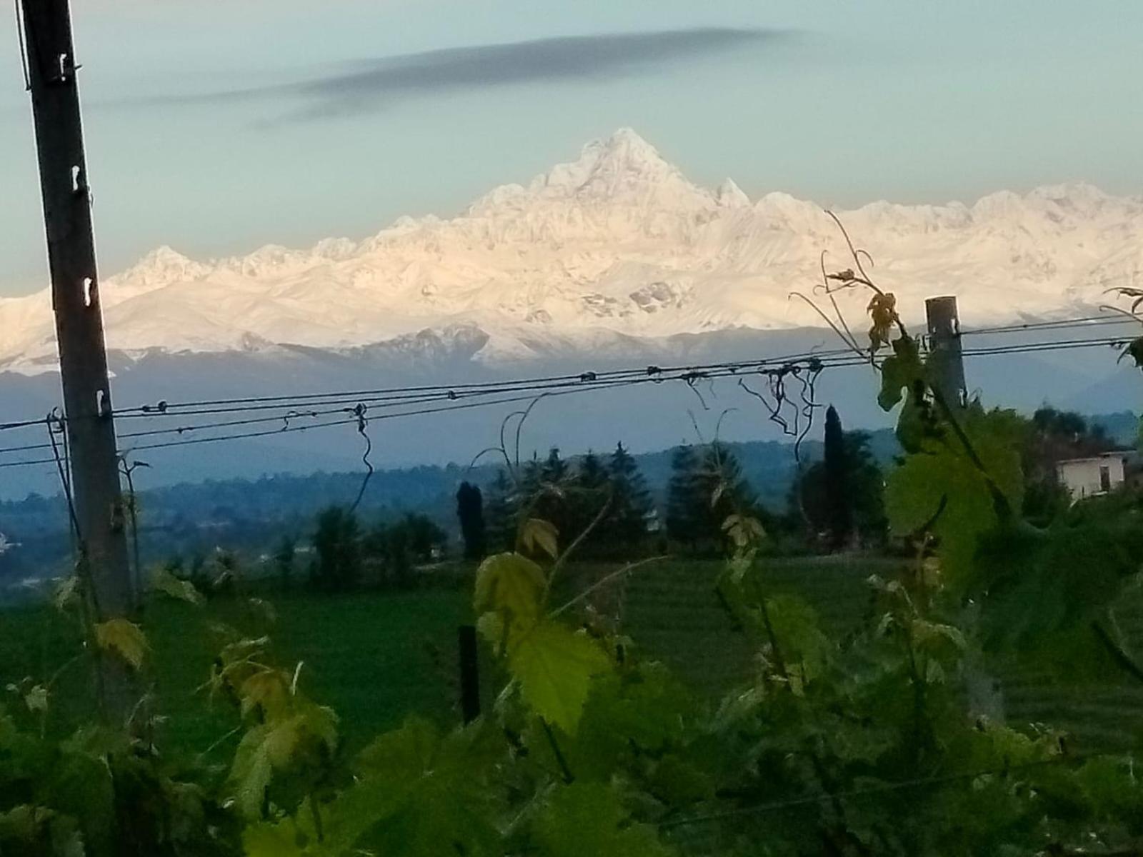 Cascina Torello Dogliani Kültér fotó