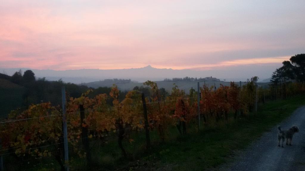Cascina Torello Dogliani Kültér fotó