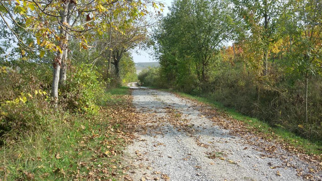 Cascina Torello Dogliani Kültér fotó
