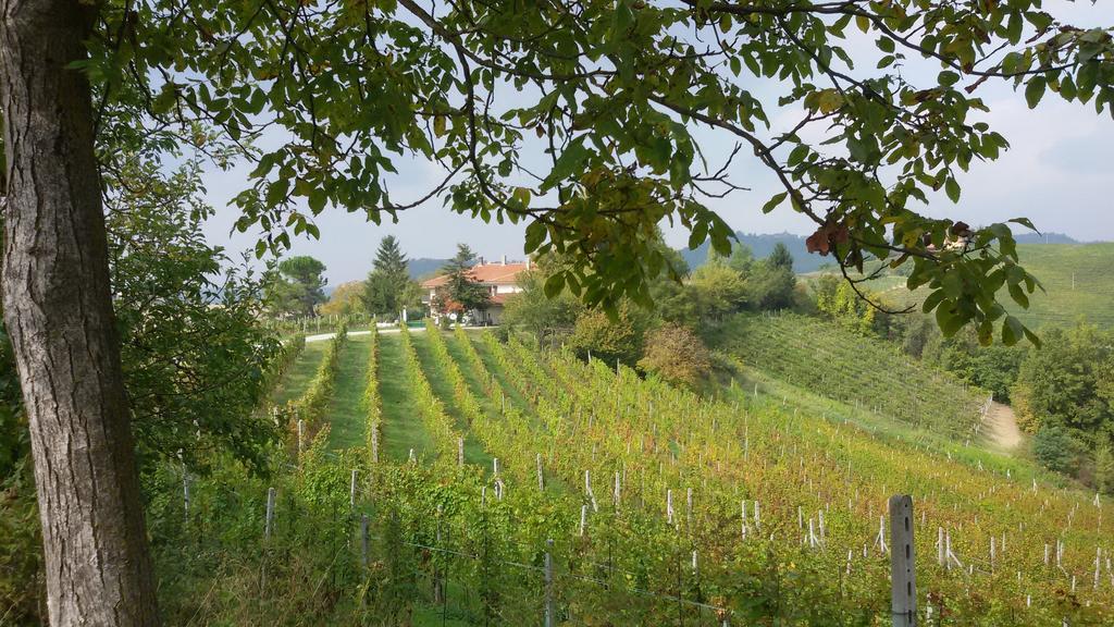 Cascina Torello Dogliani Kültér fotó