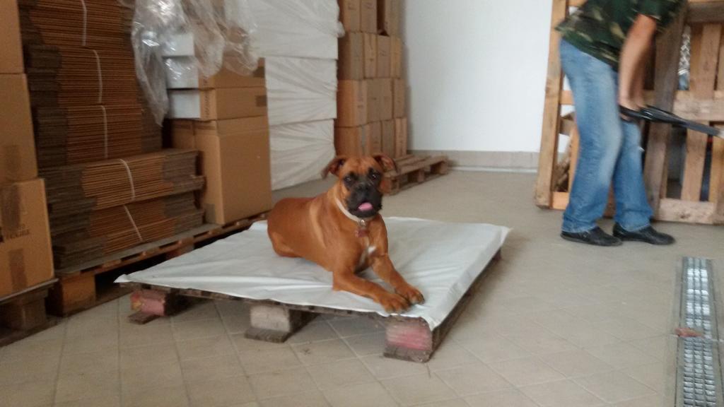 Cascina Torello Dogliani Kültér fotó