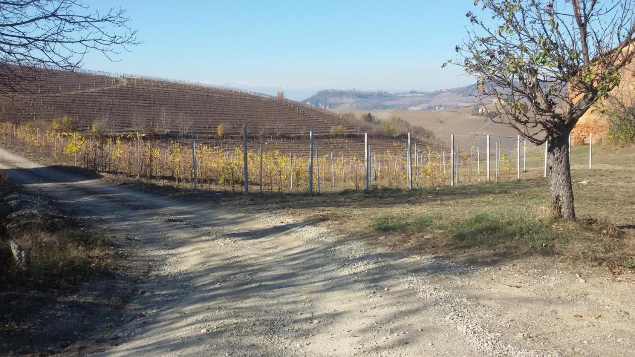 Cascina Torello Dogliani Kültér fotó