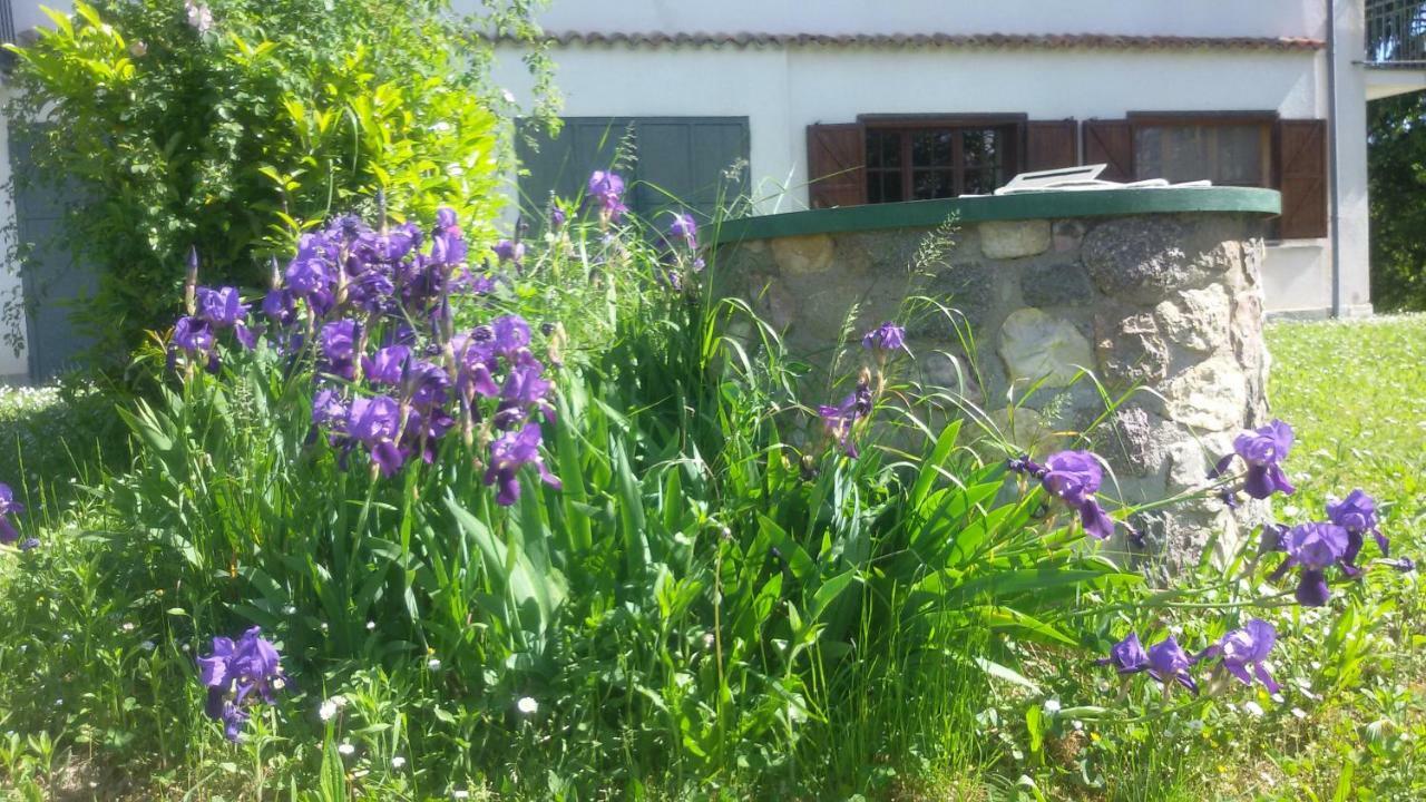Cascina Torello Dogliani Kültér fotó